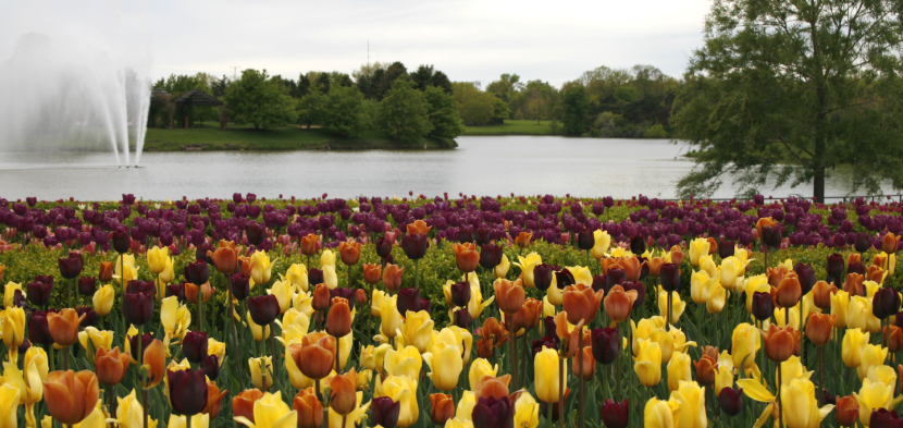 chicago botanic garden