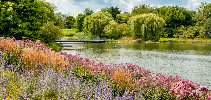 an evening treat at chicago botanic garden