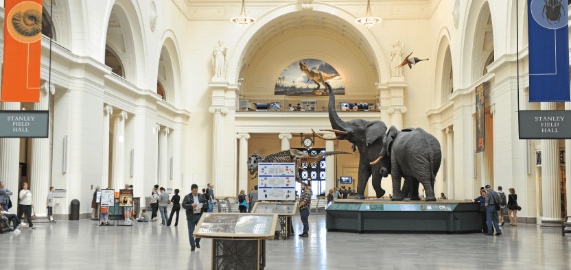 field museum