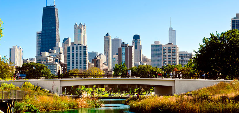 chicago selfie lover linkoln park inner