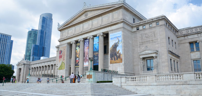 chicago museums