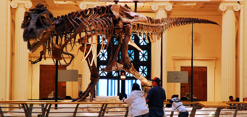 Field Museum